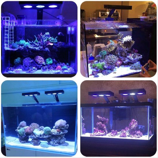 versus tellen pint LED verlichting aquarium - KW products • Koraal Wereld